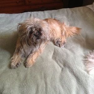 Meet your Posher, Mary